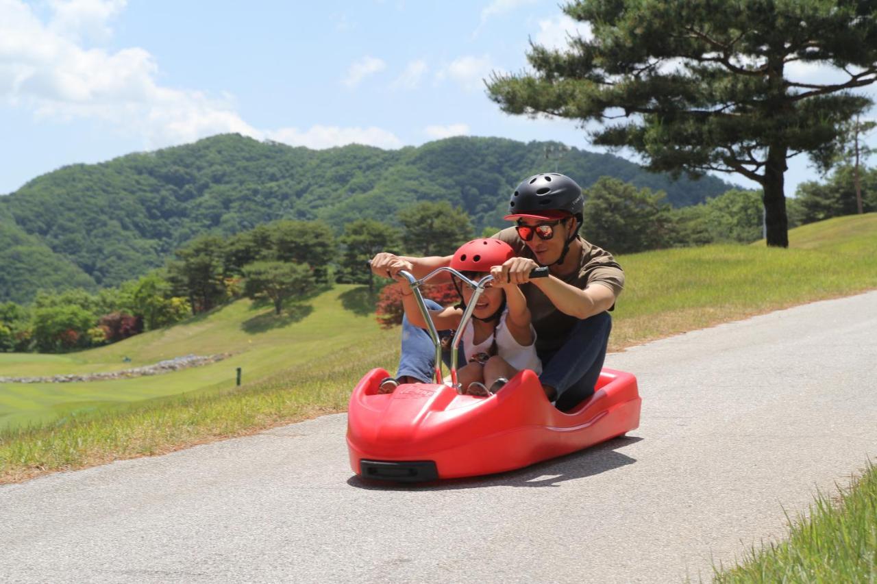 Hotel Bears Town Pocheon Exterior foto